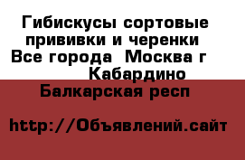 Гибискусы сортовые, прививки и черенки - Все города, Москва г.  »    . Кабардино-Балкарская респ.